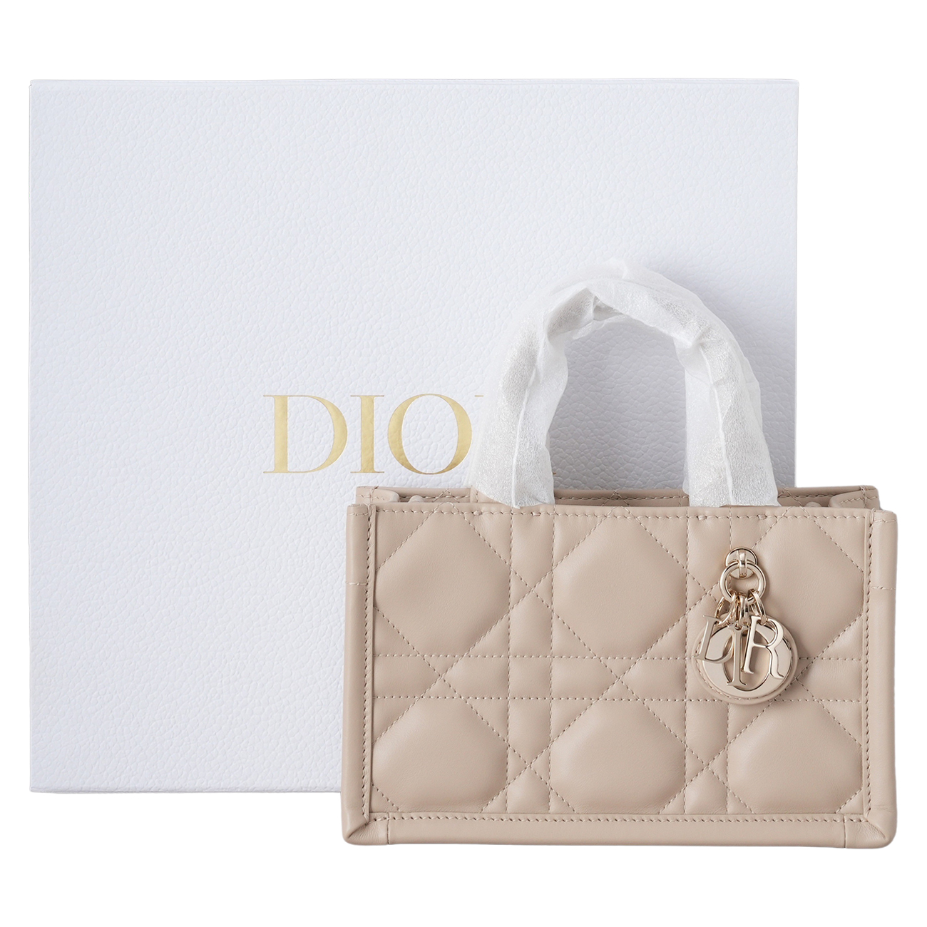 CHRISTIAN DIOR(USED)디올 북 토트 까나쥬 마이크로